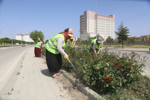 PARK VE YEŞİL ALANLAR YAZA HAZIRLANIYOR