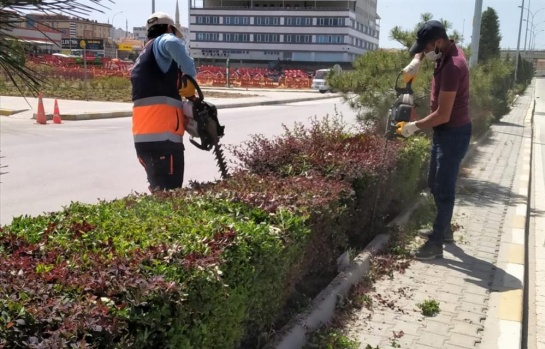 PARK VE YEŞİL ALANLAR YAZA HAZIRLANIYOR