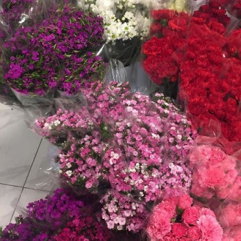 Kadınlar Gününe Özel Çiçekler Mustafa Flowers'ta