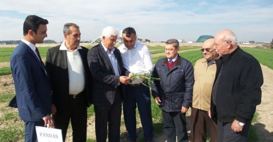 ‘Antalya Buğdayını Arıyor’ projesi