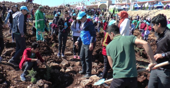 Şahinbey’den 440 bin metrakarelik alana "Çanakkale Hatıra Ormanı"