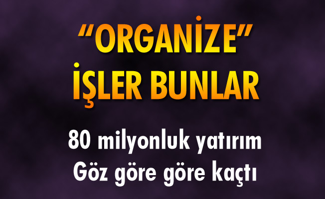 "ORGANİZE" İŞLER BUNLAR