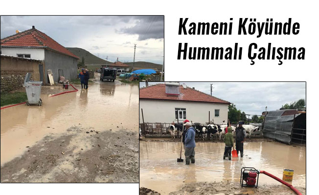 Kameni Köyünde Hummalı Çalışma