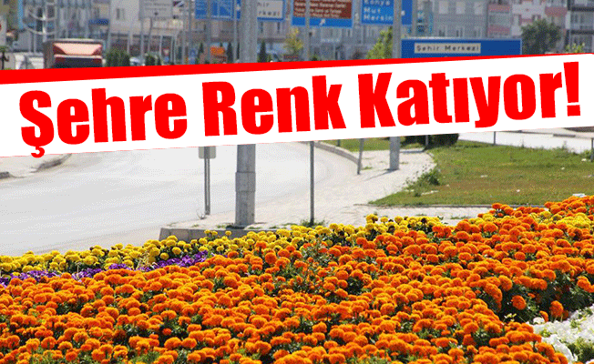 Şehre Renk Katıyor!