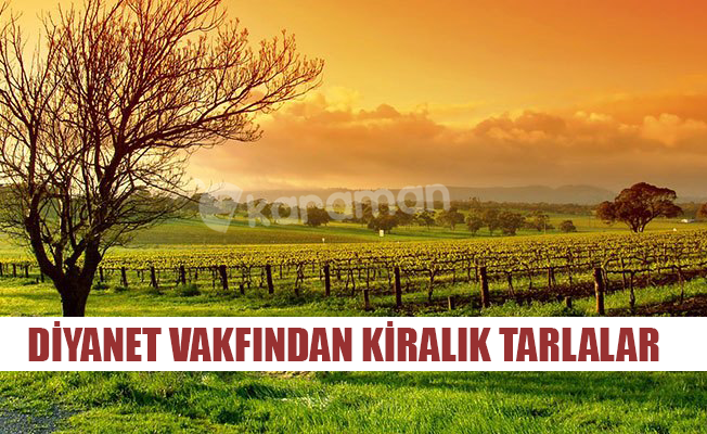 DİYANET VAKFINDAN KİRALIK TARLALAR DİYANET VAKFINDAN KİRALIK TARLALAR
