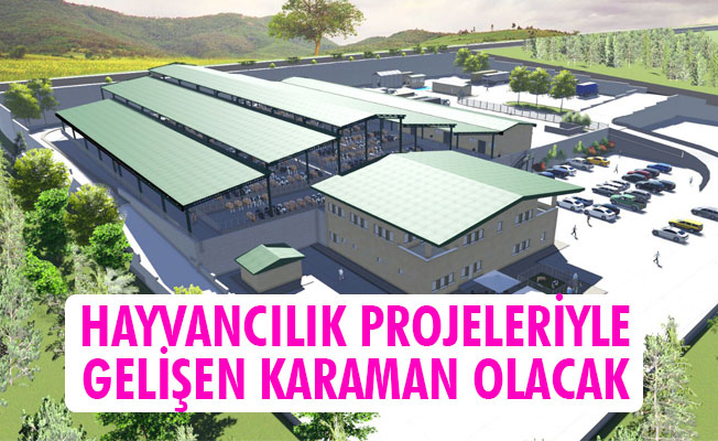 HAYVANCILIK PROJELERİYLE GELİŞEN KARAMAN OLACAK 