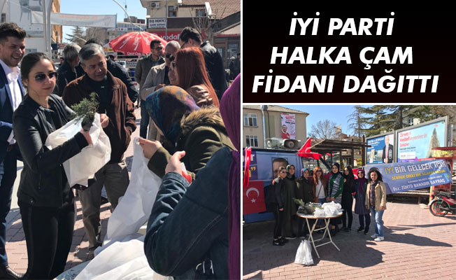 İYİ PARTİ HALKA ÇAM FİDANI DAĞITTI