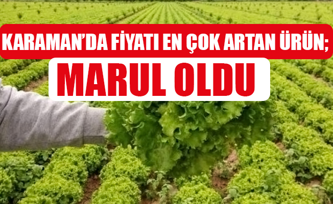 KARAMAN’DA FİYATI EN ÇOK ARTAN ÜRÜN; MARUL OLDU