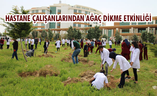 HASTANE ÇALIŞANLARINDAN AĞAÇ DİKME ETKİNLİĞİ HASTANE ÇALIŞANLARINDAN AĞAÇ DİKME ETKİNLİĞİ