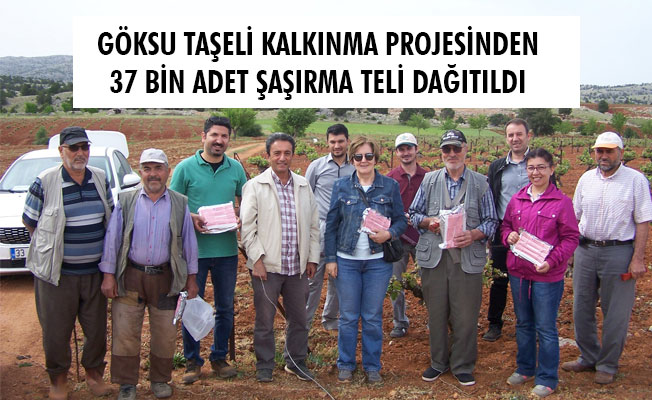 GÖKSU TAŞELİ KALKINMA PROJESİNDEN 37 BİN ADET ŞAŞIRMA TELİ DAĞITILDI