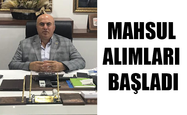 MAHSUL ALIMLARI BAŞLADI