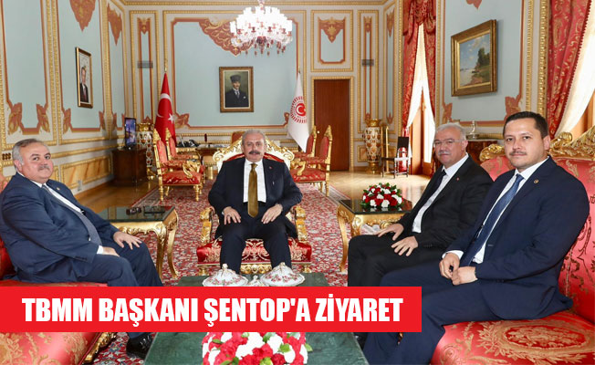 TBMM BAŞKANI ŞENTOP'A ZİYARET TBMM BAŞKANI ŞENTOP'A ZİYARET