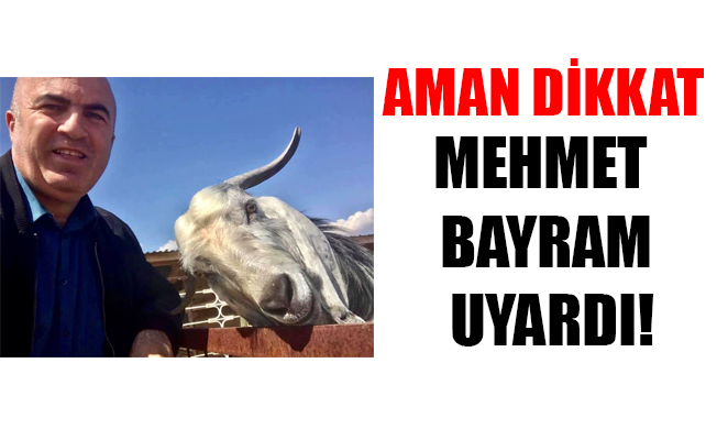 MEHMET BAYRAM UYARDI! MEHMET BAYRAM UYARDI!