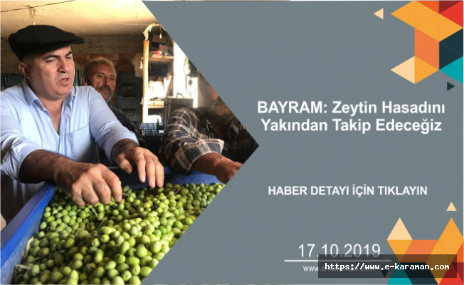 BAYRAM: Zeytin Hasadını Yakından Takip Edeceğiz