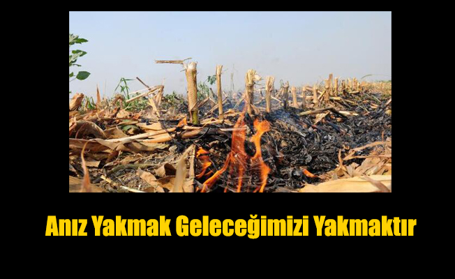 Anız Yakmak Geleceğimizi Yakmaktır Anız Yakmak Geleceğimizi Yakmaktır