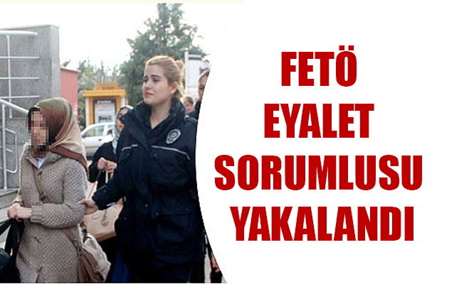 FETÖ EYALET SORUMLUSU YAKALANDI