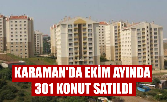 KARAMAN'DA EKİM AYINDA 301 KONUT SATILDI