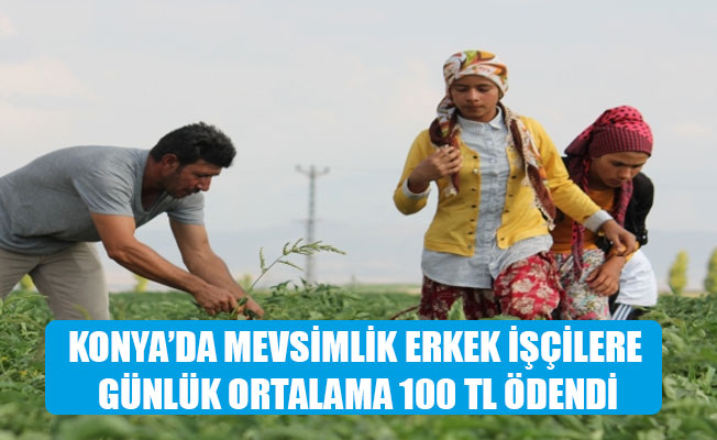 KONYA’DA MEVSİMLİK ERKEK İŞÇİLERE GÜNLÜK ORTALAMA 100 TL ÖDENDİ