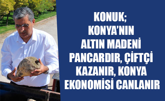 KONUK;  KONYA’NIN ALTIN MADENİ PANCARDIR, ÇİFTÇİ KAZANIR, KONYA EKONOMİSİ CANLANIR