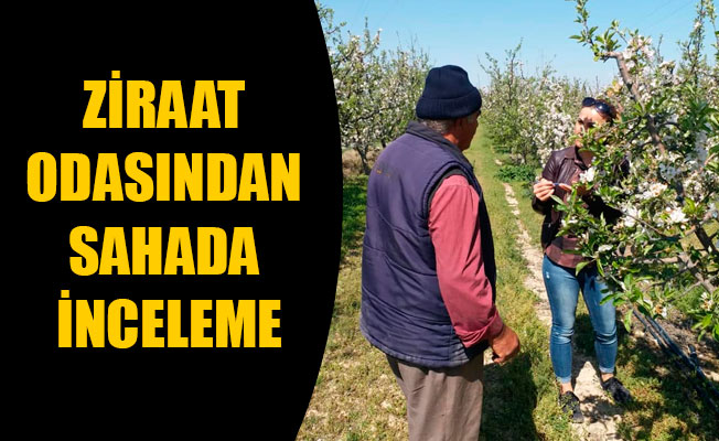 ZİRAAT ODASINDAN SAHADA İNCELEME