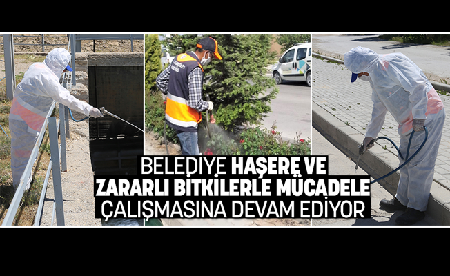 BELEDİYE HAŞERE VE ZARARLI BİTKİLERLE MÜCADELE ÇALIŞMASINA DEVAM EDİYOR