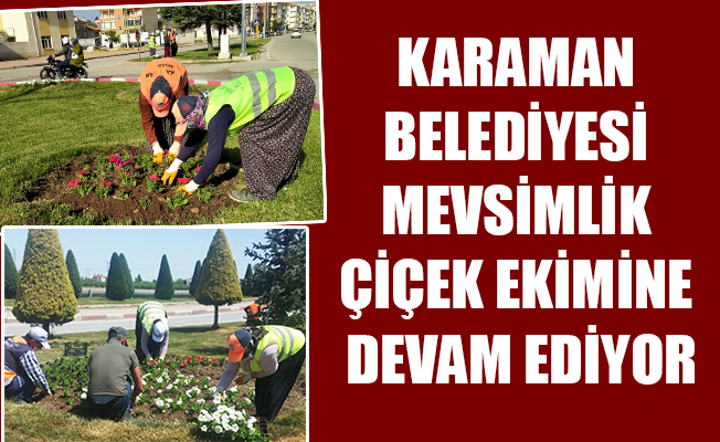 KARAMAN BELEDİYESİ MEVSİMLİK ÇİÇEK EKİMİNE DEVAM EDİYOR