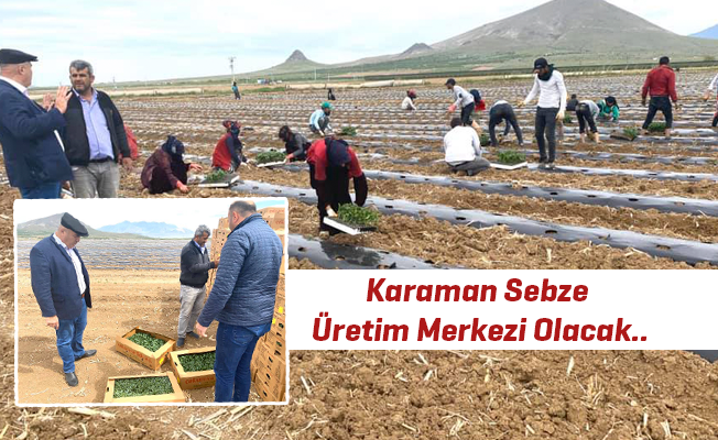 Karaman Sebze Üretim Merkezi Olacak..