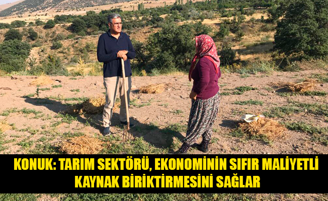 KONUK: TARIM SEKTÖRÜ, EKONOMİNİN SIFIR MALİYETLİ KAYNAK BİRİKTİRMESİNİ SAĞLAR