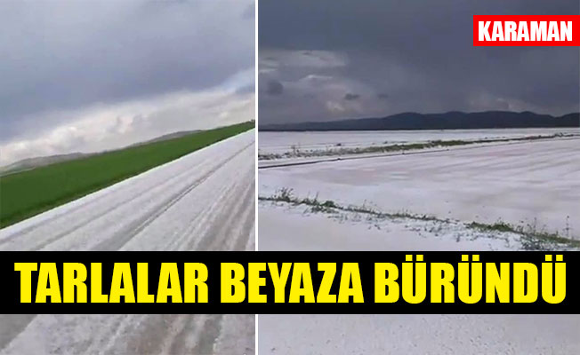 TARLALAR BEYAZA BÜRÜNDÜ