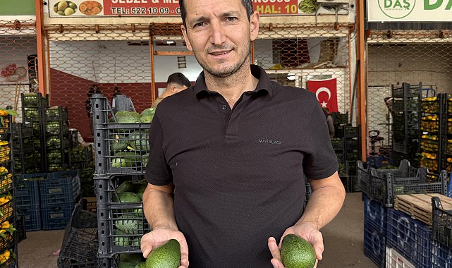 Alanya avokadosunda rekolte beklentisi 150 milyon adet