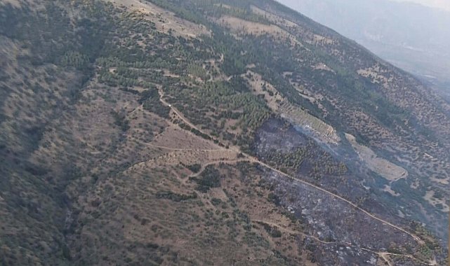 Aydın'da orman yangını