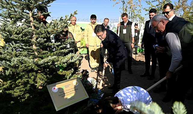 Bakan Yumakllı: 11 Kasım'da 14 milyon 914 bin fidan toprakla buluştu