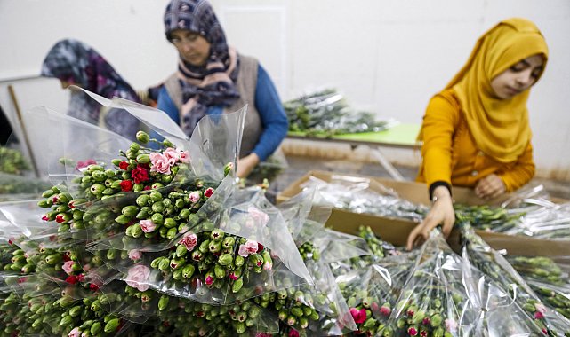 Çiçekte 10 aylık ihracat rekoru
