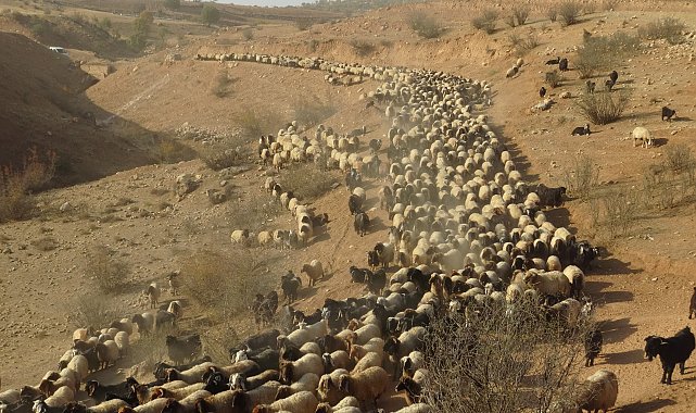 Göçerlerin zorlu yolculuğu başladı
