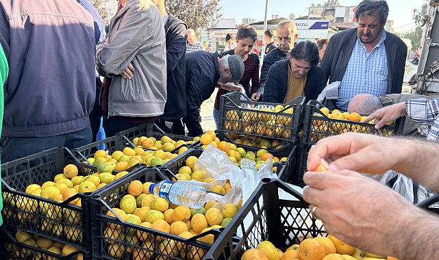 Hatay'da üreticiler, alıcı çıkmayan tonlarca mandalinayı ücretsiz dağıttı