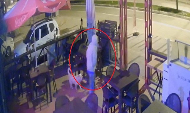 İş yerine defalarca giren hırsızı sopayla kovaladı; o anlar kamerada