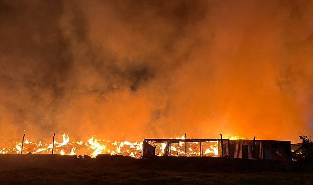 İzmir'de belediyeye ait çöp depolama alanında yangın