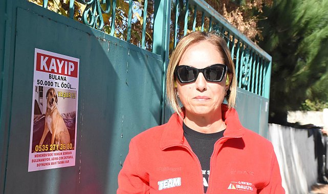 Kayıp köpeği Yaşar'ı bulana 50 bin lira verecek