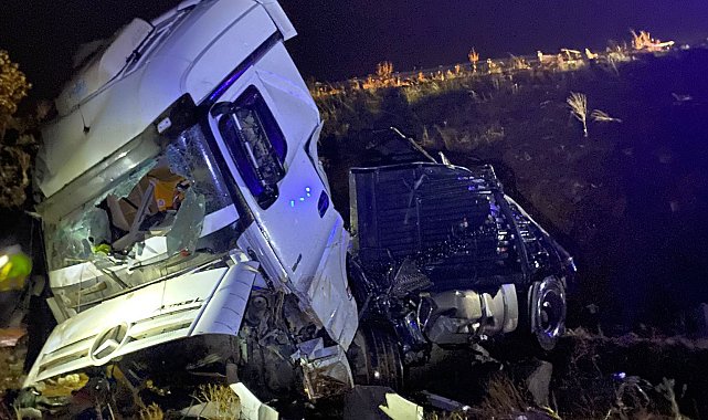 Malatya'da şarampole devrilen TIR'ın sürücüsü öldü