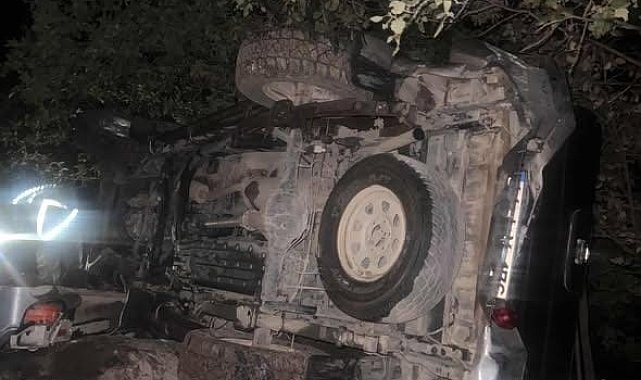 Mardin'de kamyonet şarampole devrildi: 6 yaralı
