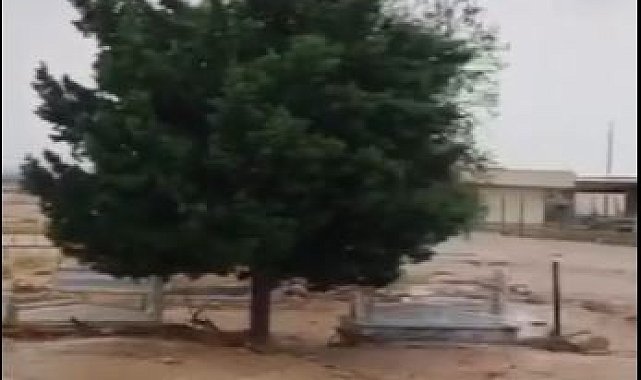 Mardin'de sağanak; dereler taştı, yollar göle döndü