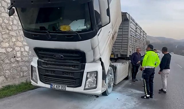 Polis, TIR'da çıkan yangına müdahale etti