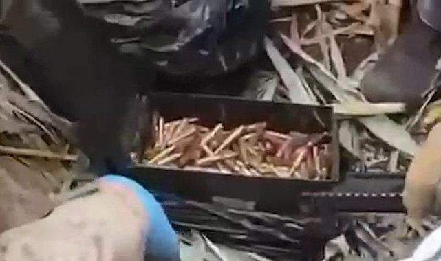 Şanlıurfa'da silah ve mühimmat ele geçirildi: 2 gözaltı