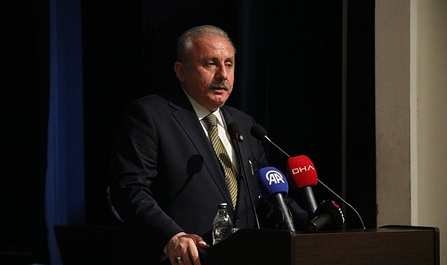 Şentop: Üniversiteyi bitirmiş olma aşamanın önemsenmesi evlenme yaşını yukarı taşıyor