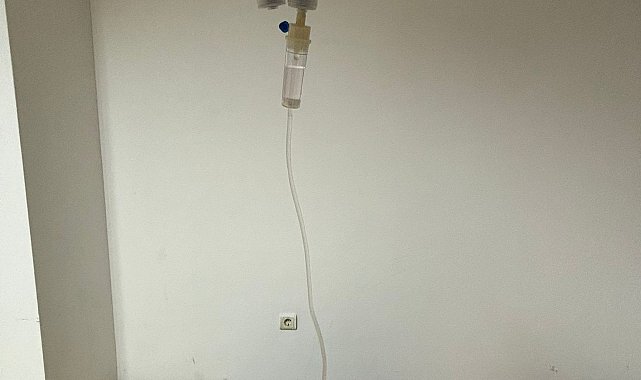 Sitenin köpeği 'Fıstık' için yürüteç