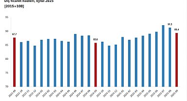 TÜİK: Dış ticaret haddi 3,6 puan arttı
