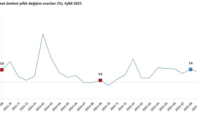TÜİK: Hizmet üretim endeksi eylülde yıllık yüzde 3,1 arttı