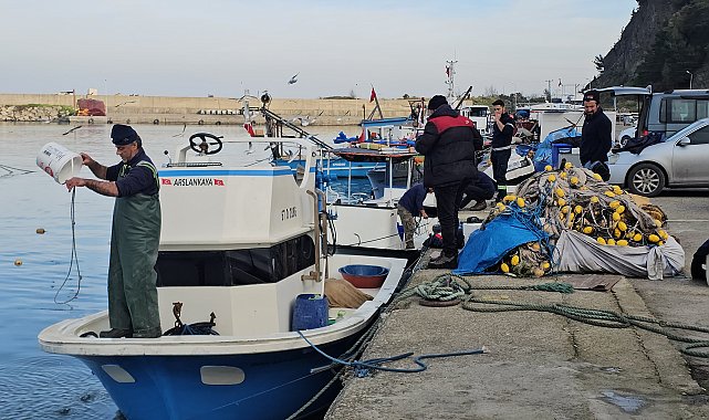 Balıkçılar, Karadeniz'de umduklarını bulamadı; hamsi dışında çeşit yok