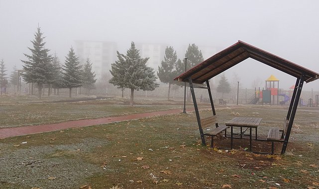 Bitlis'te sis etkili oldu