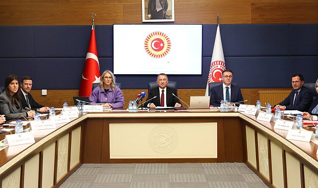 Dışişleri Komisyonu Başkanı Oktay: SDG'nin Suriye'yle bütünleşmesi kritik önem taşımaya devam etmektedir